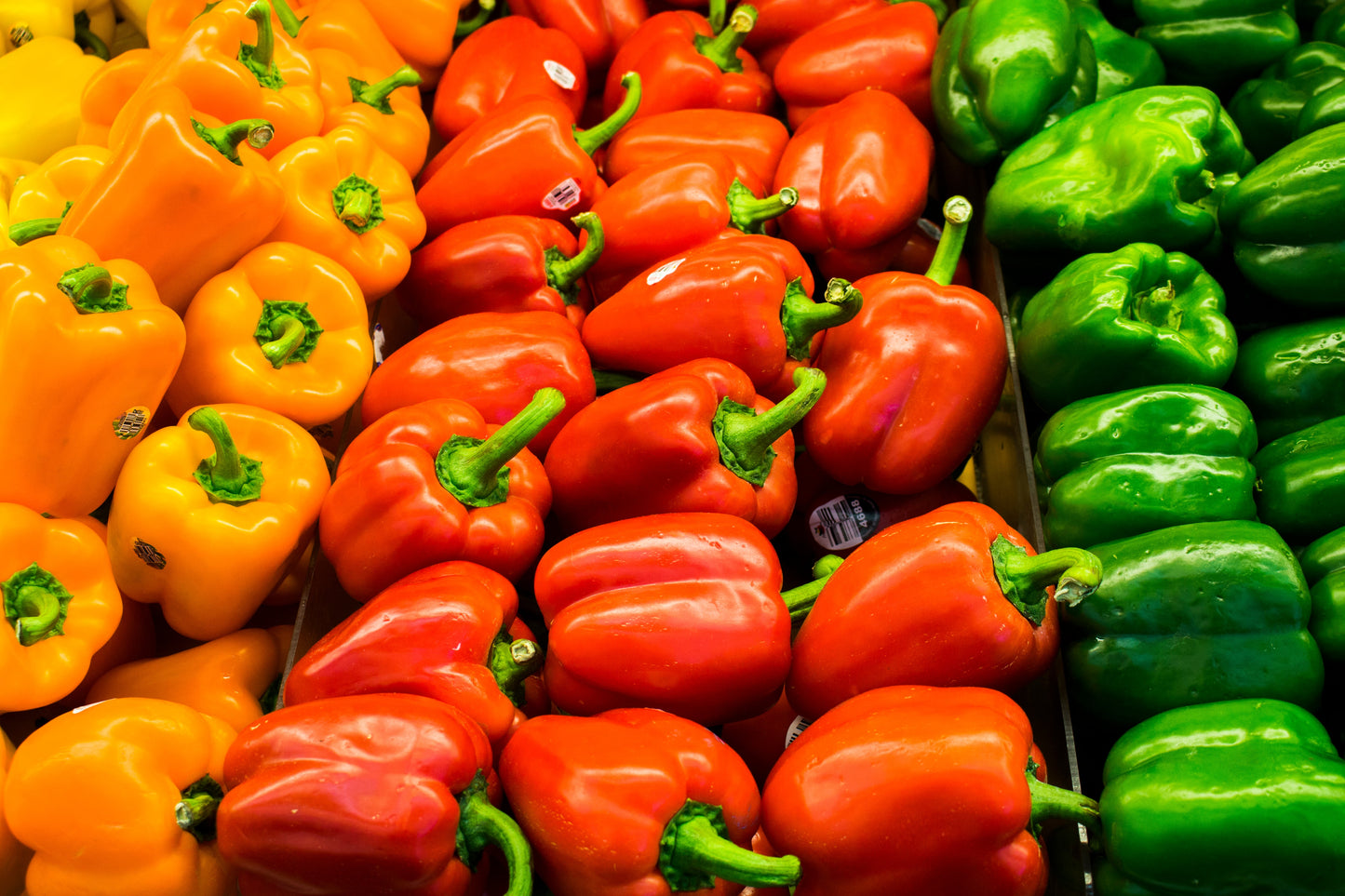 Bell Pepper
