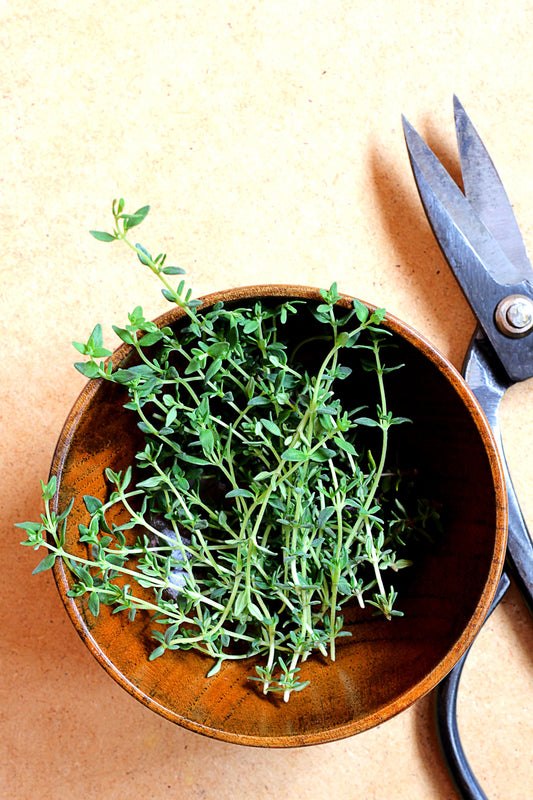 Thyme